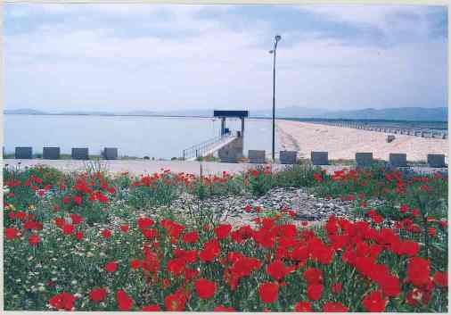 Copy of hasanlou
